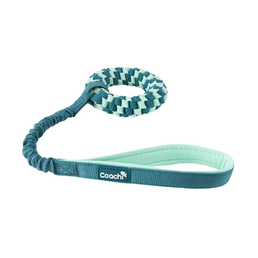 Company of Animals Puppy Tuggi Helix