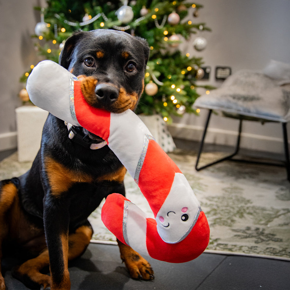 Rosewood Christmas Comet Candy Cane