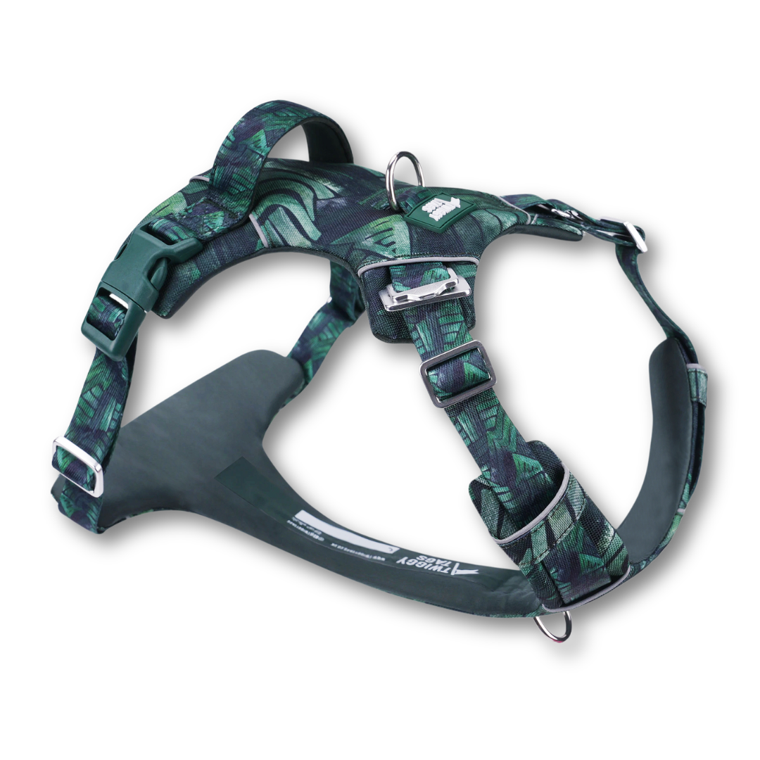 Twiggy Tags Adventure Harness Canopy 5
