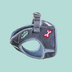 Doodlebone Dinky Dog Snappy Harness