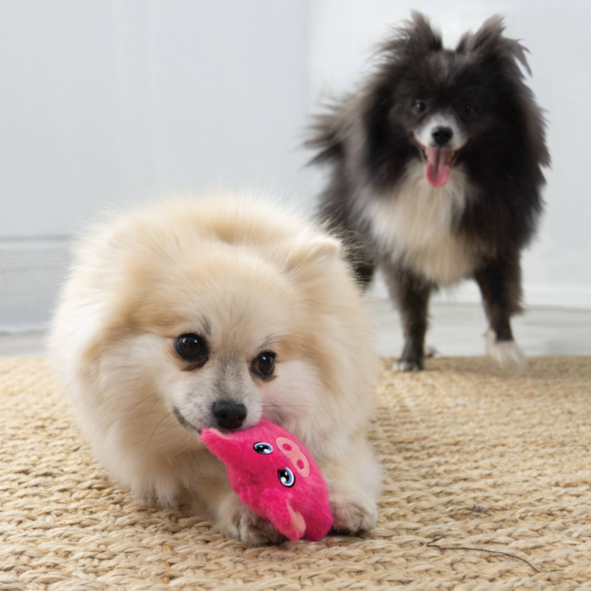 KONG Snuzzles Mini Frog