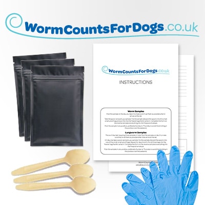 Lungworm Count Kit