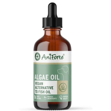 Aniforte Algae Oil 50ml