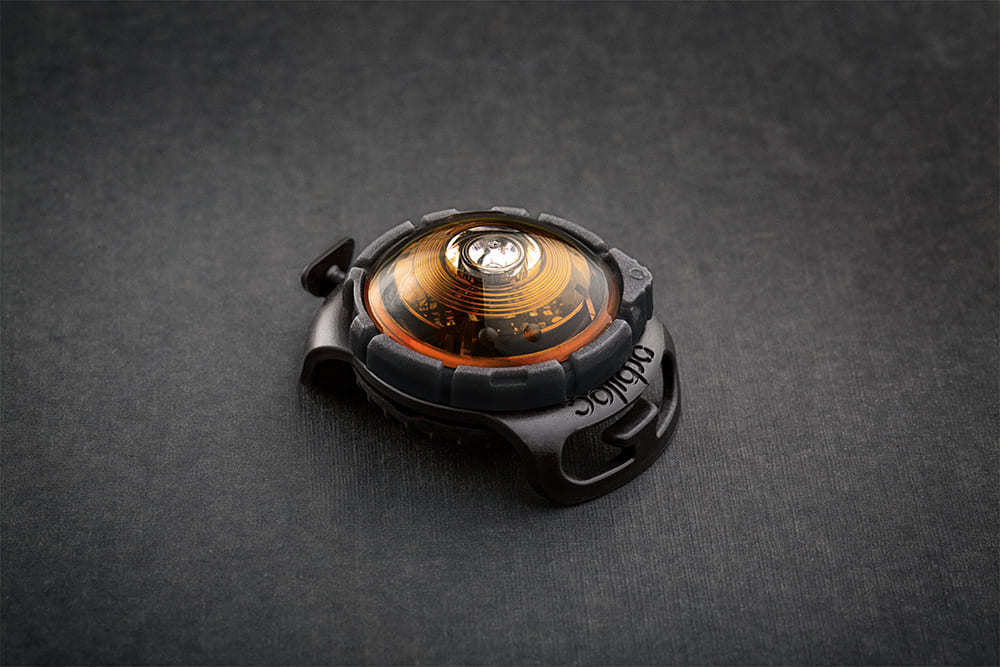 Orbiloc Dog Safety Light
