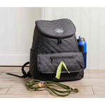 Pet Rebellion Pet Travel