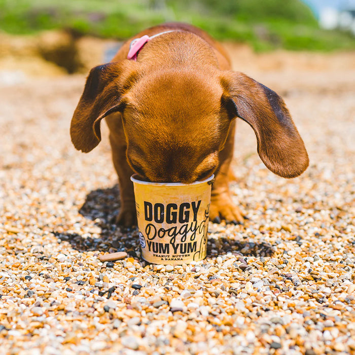 Doggy Doggy Yum Yum Peanut Butter 120ml