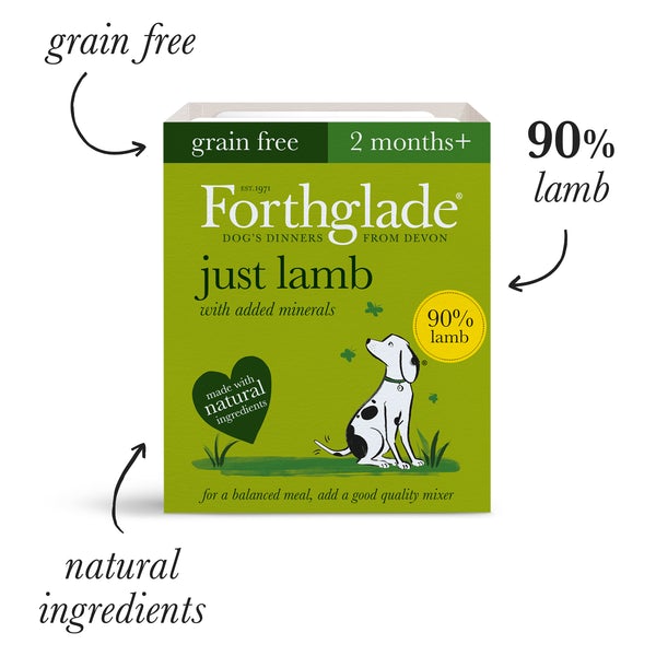 Forthglade Wet Dog Food Just Lamb 395g