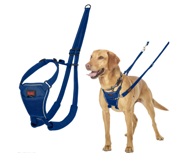 Company of Animals Halti Non Pull Harness