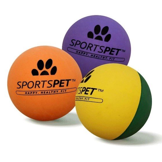 Sports Pet High Bounce