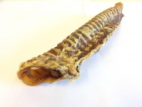 My Pet Treats Beef Trachea Single 50cm