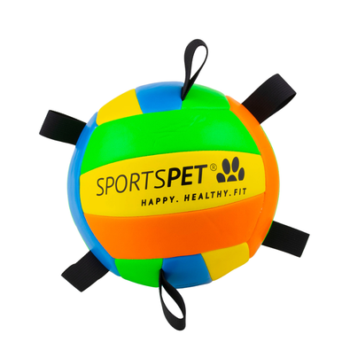Sports Pet Volleyball Mini