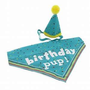 Ancol Bday Hat/Bandana Blue