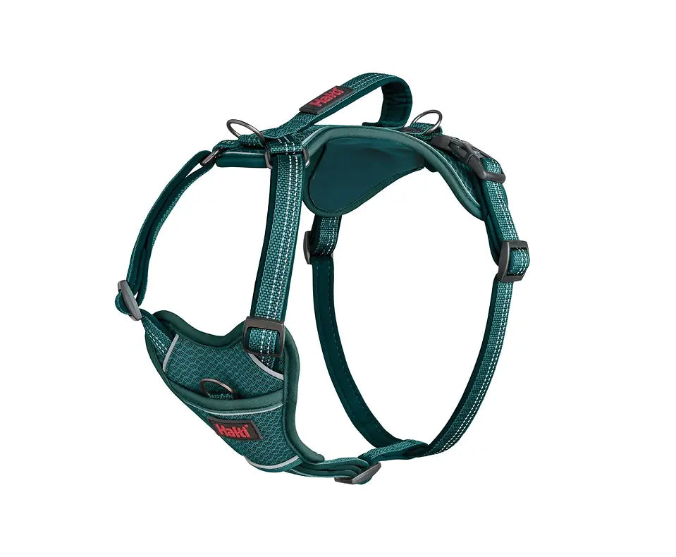 Company of Animals Anatomy Harness