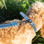 Ancol Timberwolf Leather Dog Collar