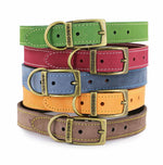 Ancol Timberwolf Leather Dog Collar