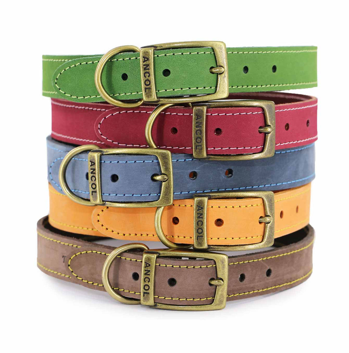 Ancol Timberwolf Leather Dog Collar