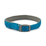 Ancol Viva Padded Collar Blue 55-63cm