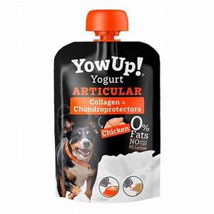 Yow Up! Yogurt Articular 115G