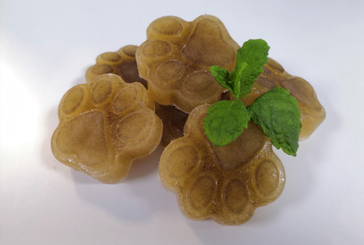 Alexander Naturals Beef Bone Broth Pawz