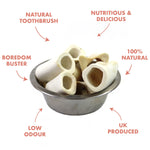 T. Forrest T Forrest Hollow Calcium Bone