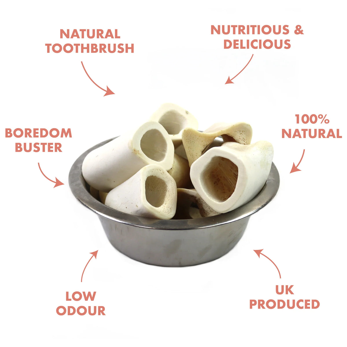 T. Forrest T Forrest Hollow Calcium Bone