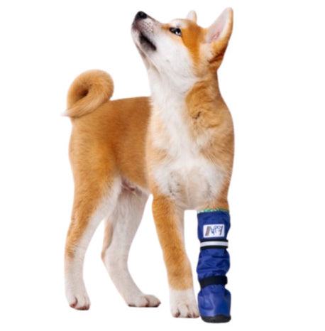 Medical PetS Boot Medium Long