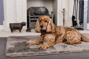 Pet Rebellion Big Softie Taupe Rug