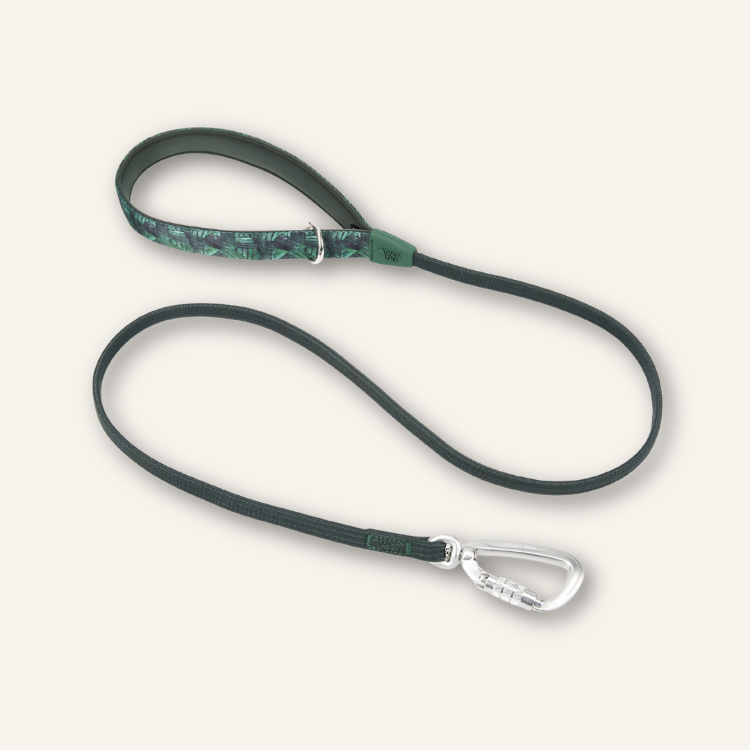 Twiggy Tags Lead Canopy