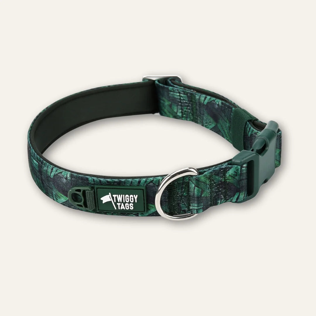 Twiggy Tags Collar Canopy