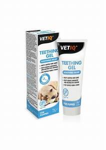 VetIQ Teething Gel 50G