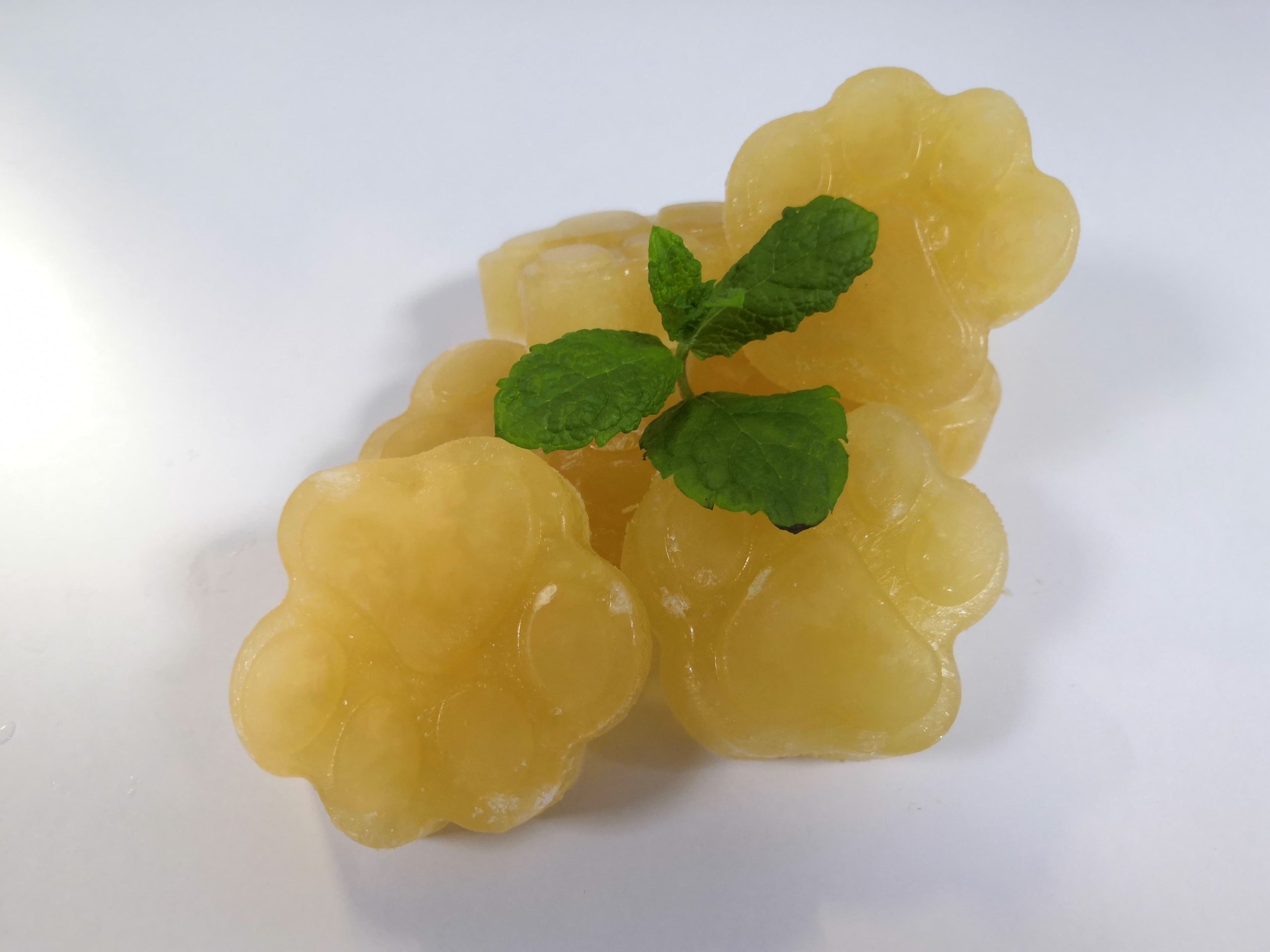 Alexander Naturals Chicken Bone Broth Pawz