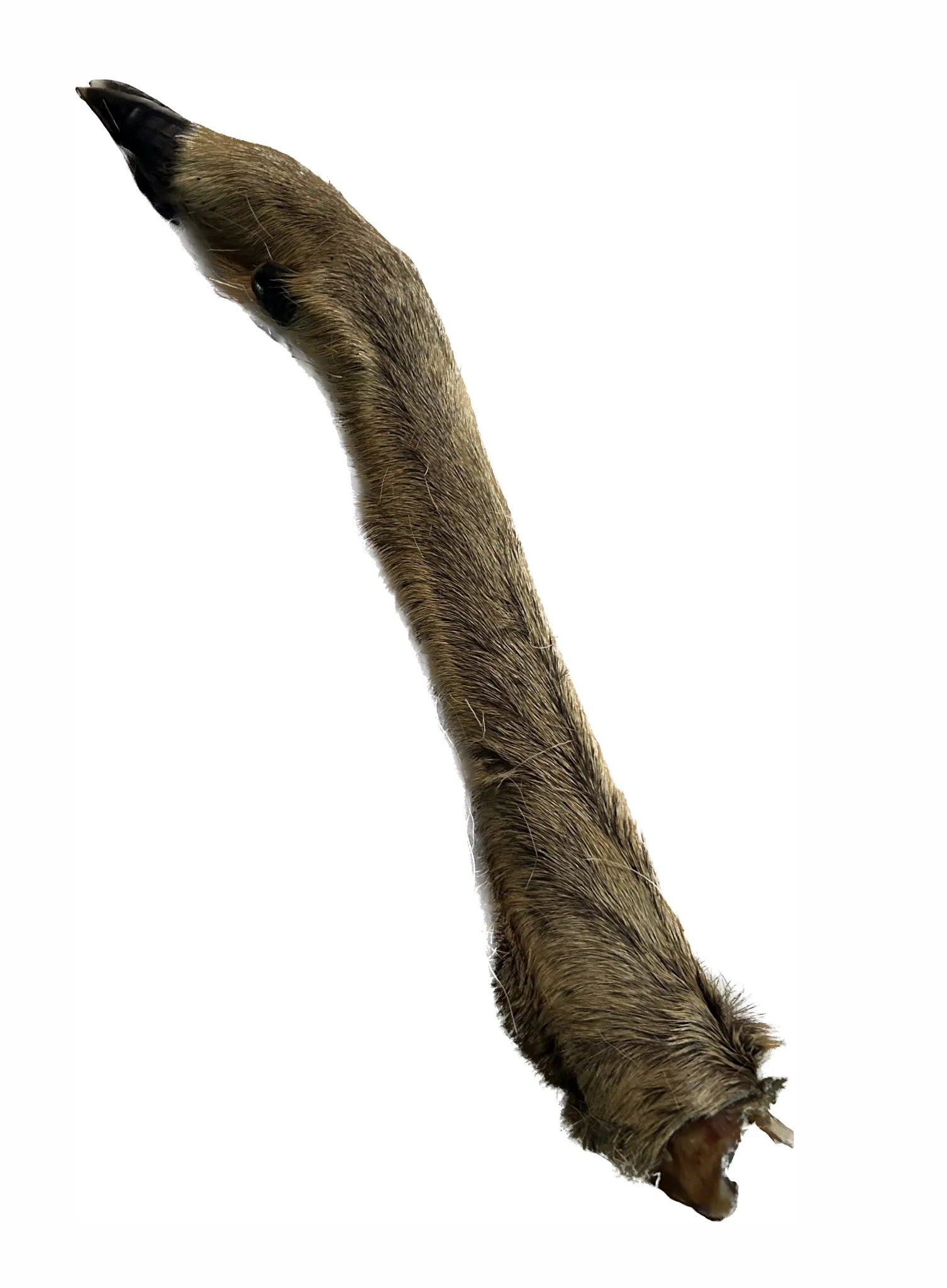 My Pet Treats Deer Leg Natural Small