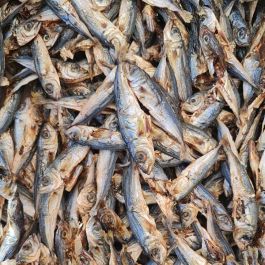 Nova Dried Baltic Sprats 1kg