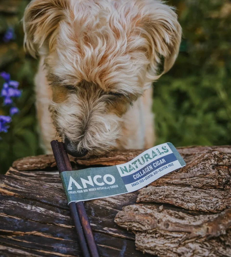 Anco Bully Roll Large