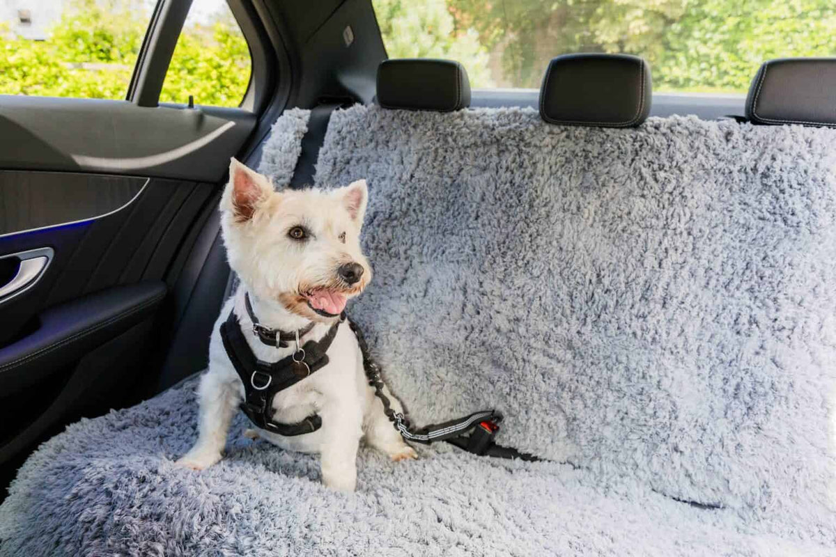 Pet Rebellion Comfy Car Cover Grey