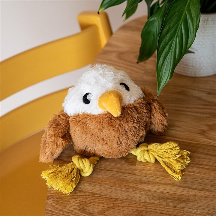 Great & Small Stay Wild Golden Eagle