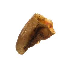 Anco Dog Treat Empty Hooves Single