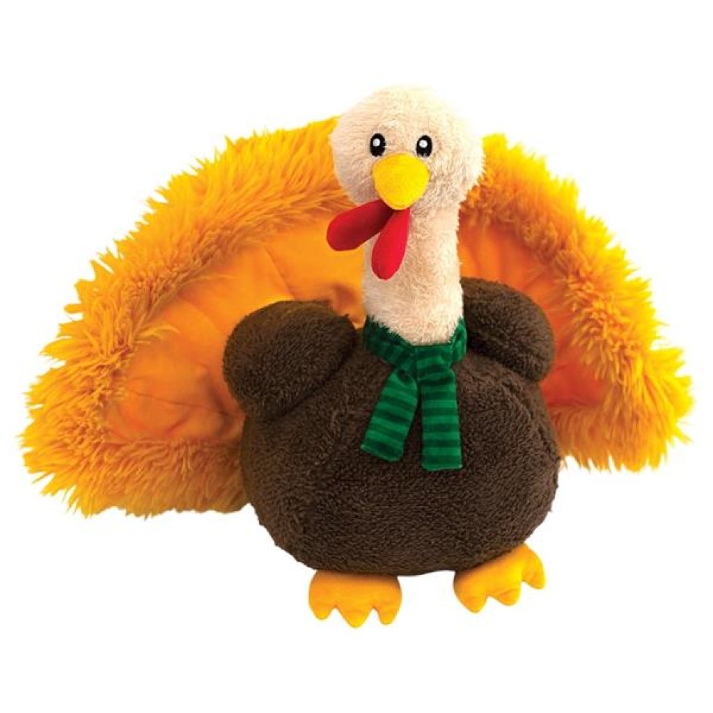 Happy Pet Christmas Terry the Turkey