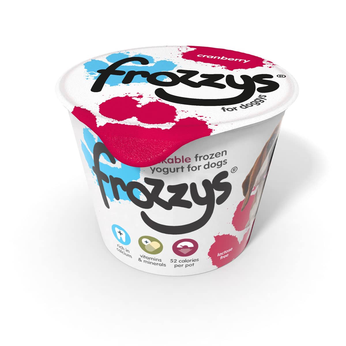Frozzys Frozen Yogurt Cranberry