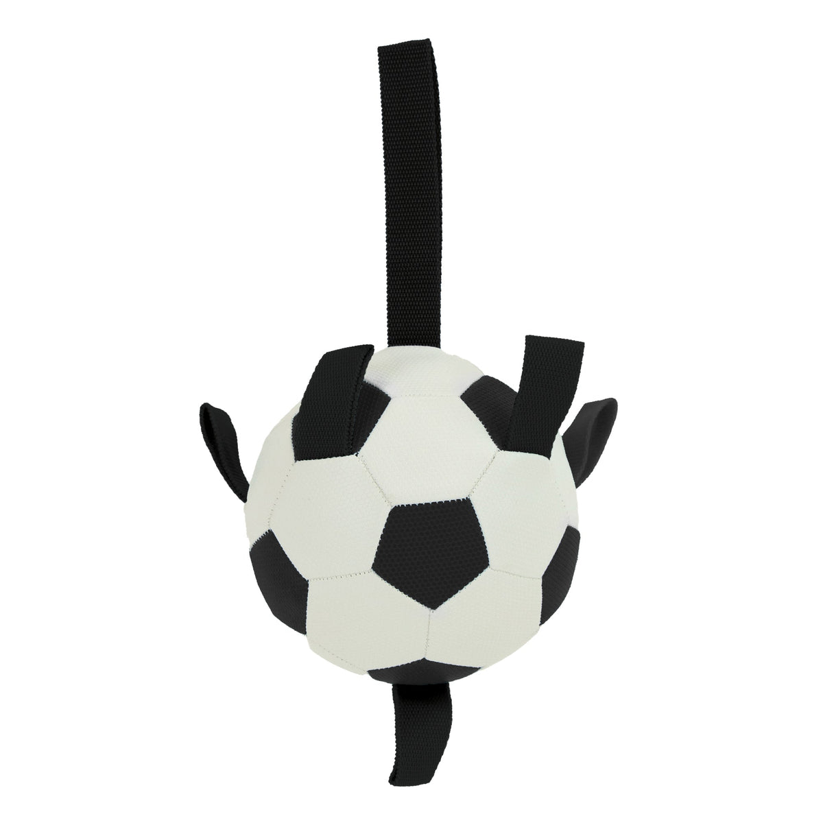 Ancol Football with Grab Handles