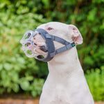 Company of Animals Baskerville Invisa Muzzle Size 4