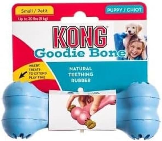 KONG Dog Toy Goodie Bone Small