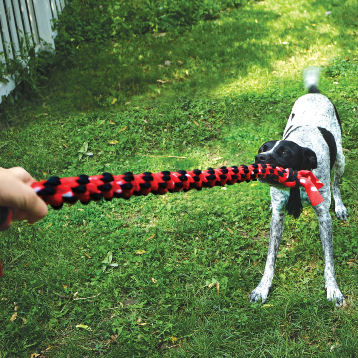 KONG Signature Crunch Rope Double
