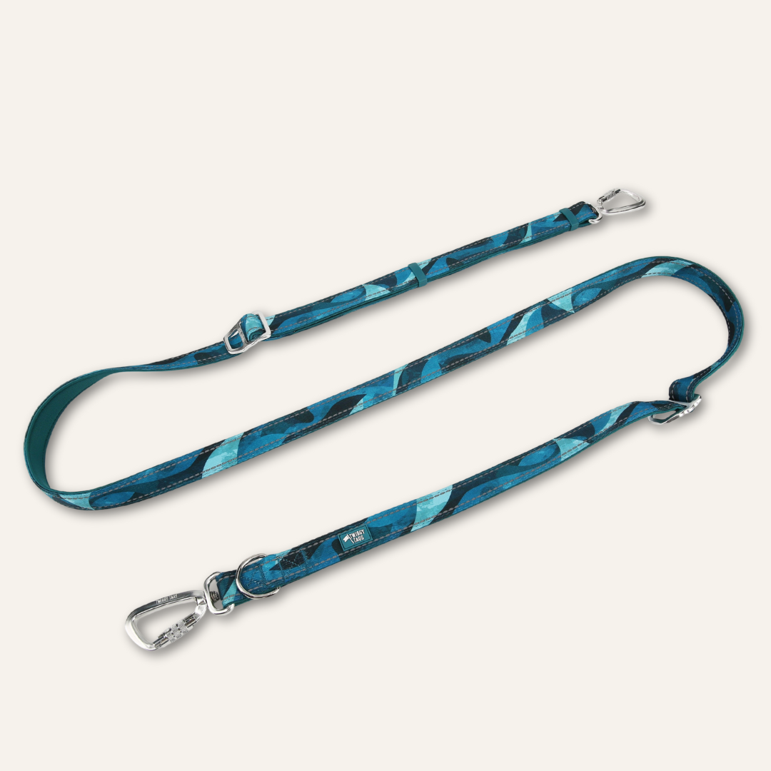 Twiggy Tags Multi Way Lead Lagoon