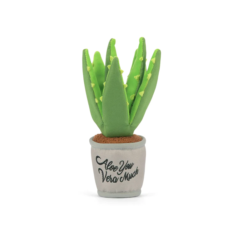 P.L.A.Y Blooming Buddies Aloe-Ve You Plant