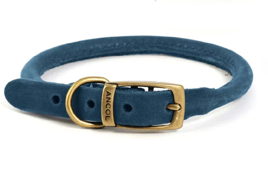 Ancol Timberwolf Rolled Collar Blue 45-54cm