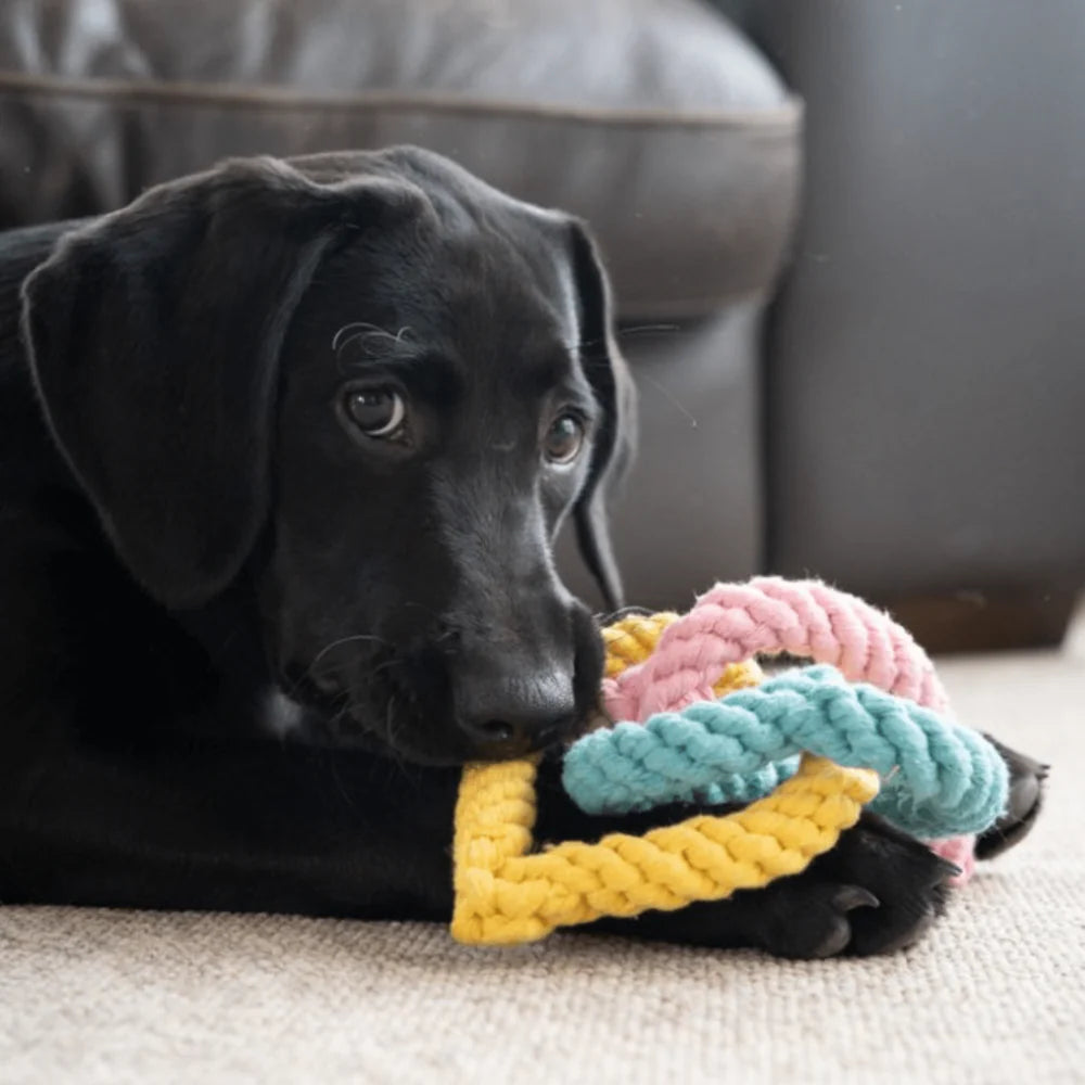 Petface Rope Hearts