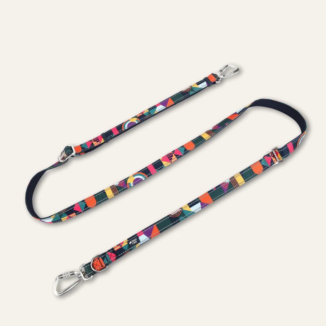 Twiggy Tags Multi Way Lead Aurora
