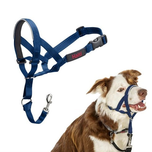 Company of Animals Halti Headcollar Blue 2