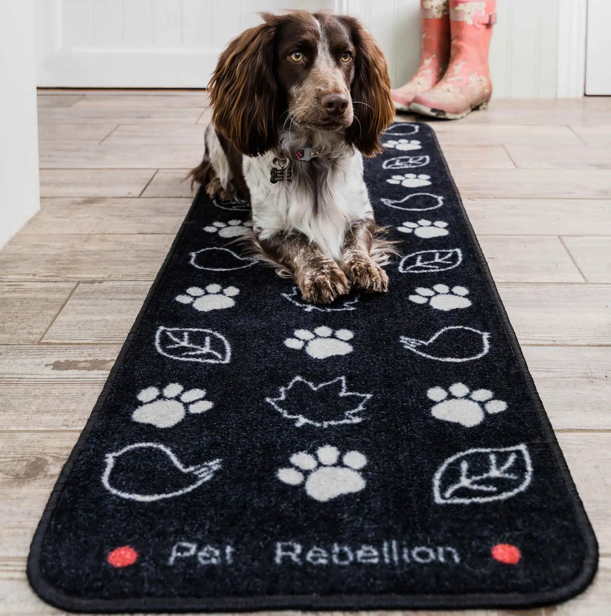 Pet Rebellion Country Walk Dog Runner Black